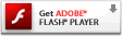 Flash Player